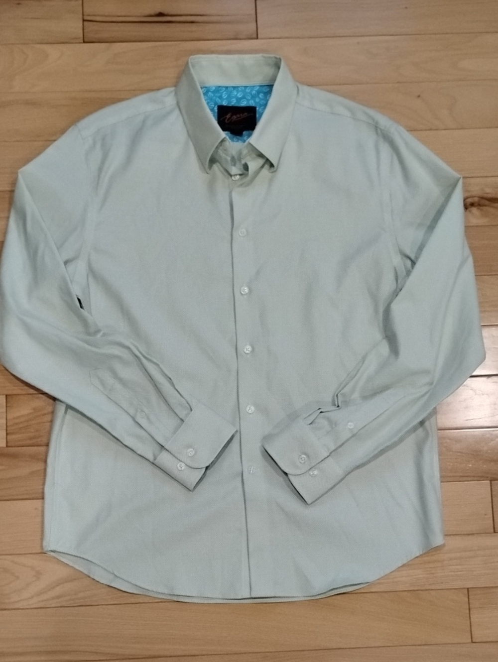 Egara modern Fit Men's Pale Green Dress Shirt